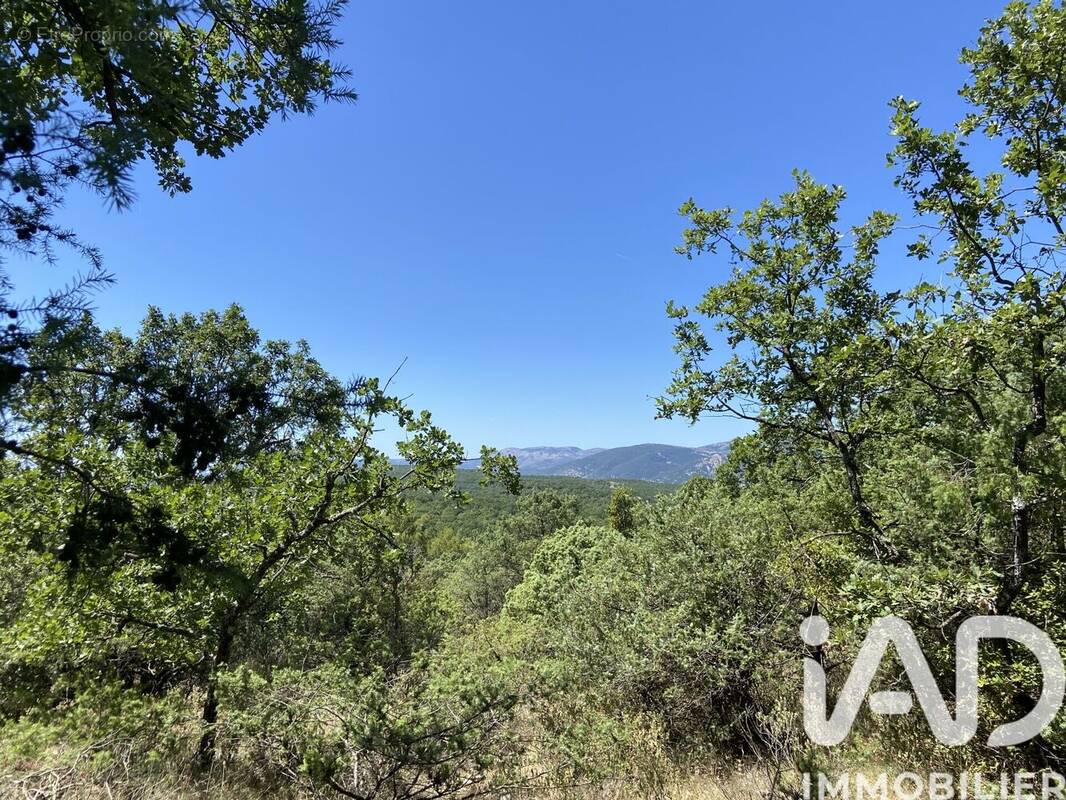 Photo 1 - Terrain à SAINT-VALLIER-DE-THIEY