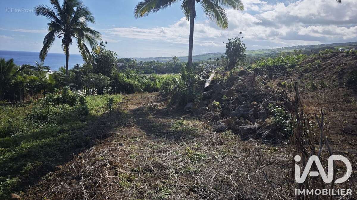Terrain 583 m² à Petite-Ile  - photo 2