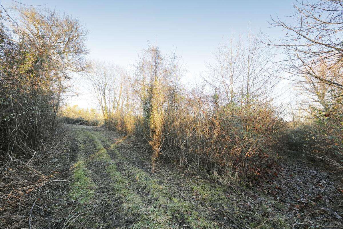 Terrain à PRESLES-EN-BRIE