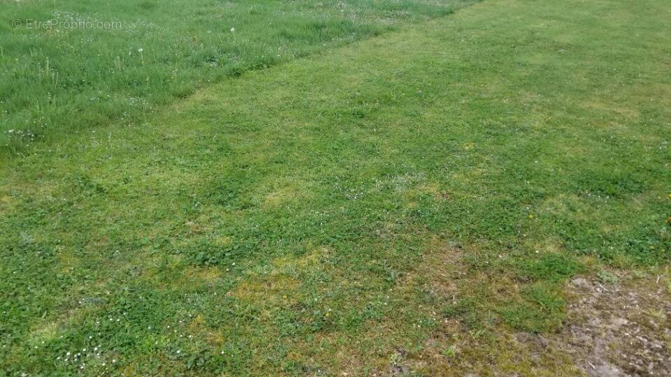 Terrain à SAINT-GERMAIN-DU-PUCH