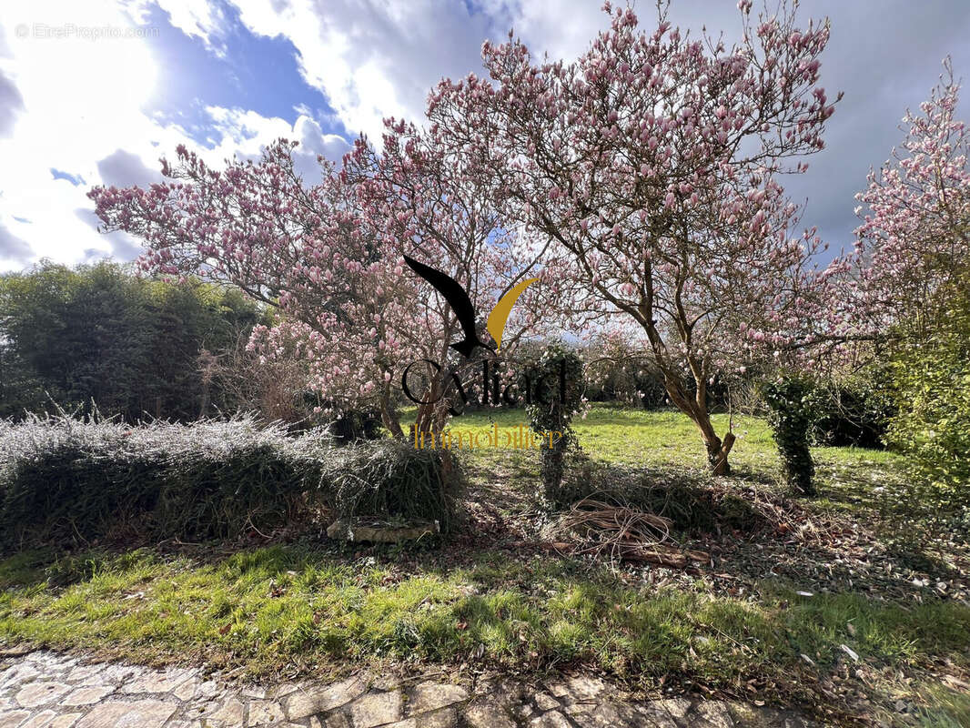 Maison à SAINT-PERE
