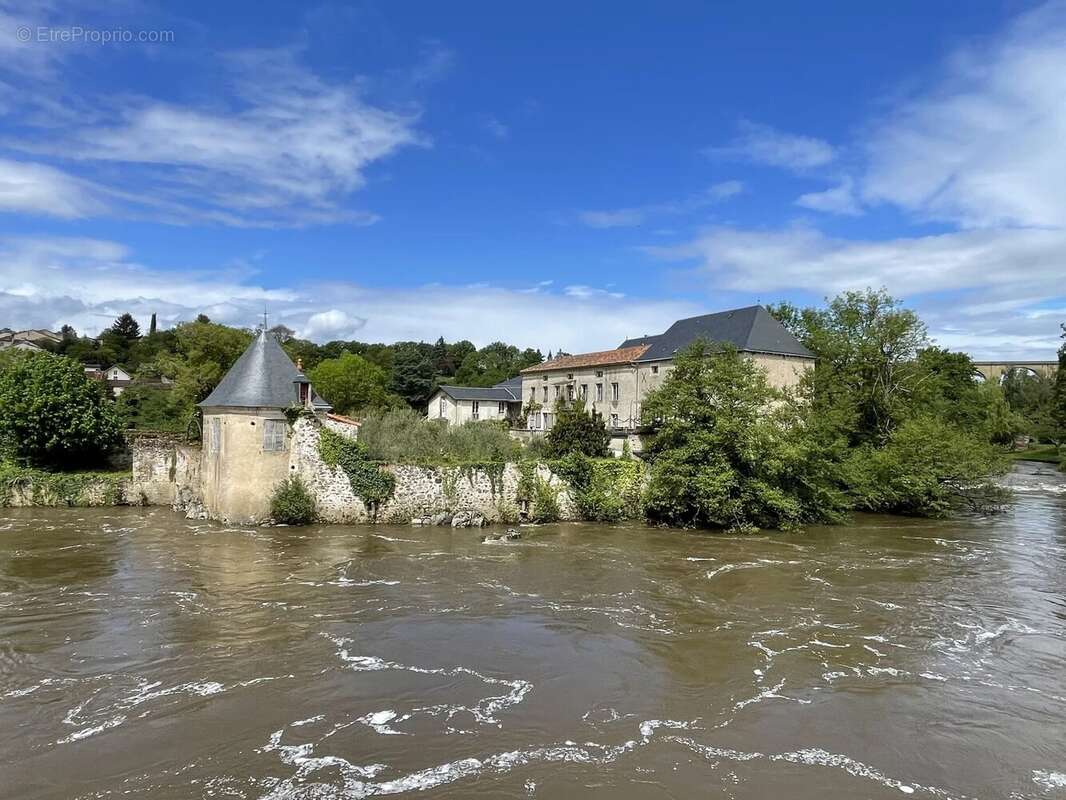 Bien rare et unique: Château à rénover situé sur une île - photo 14