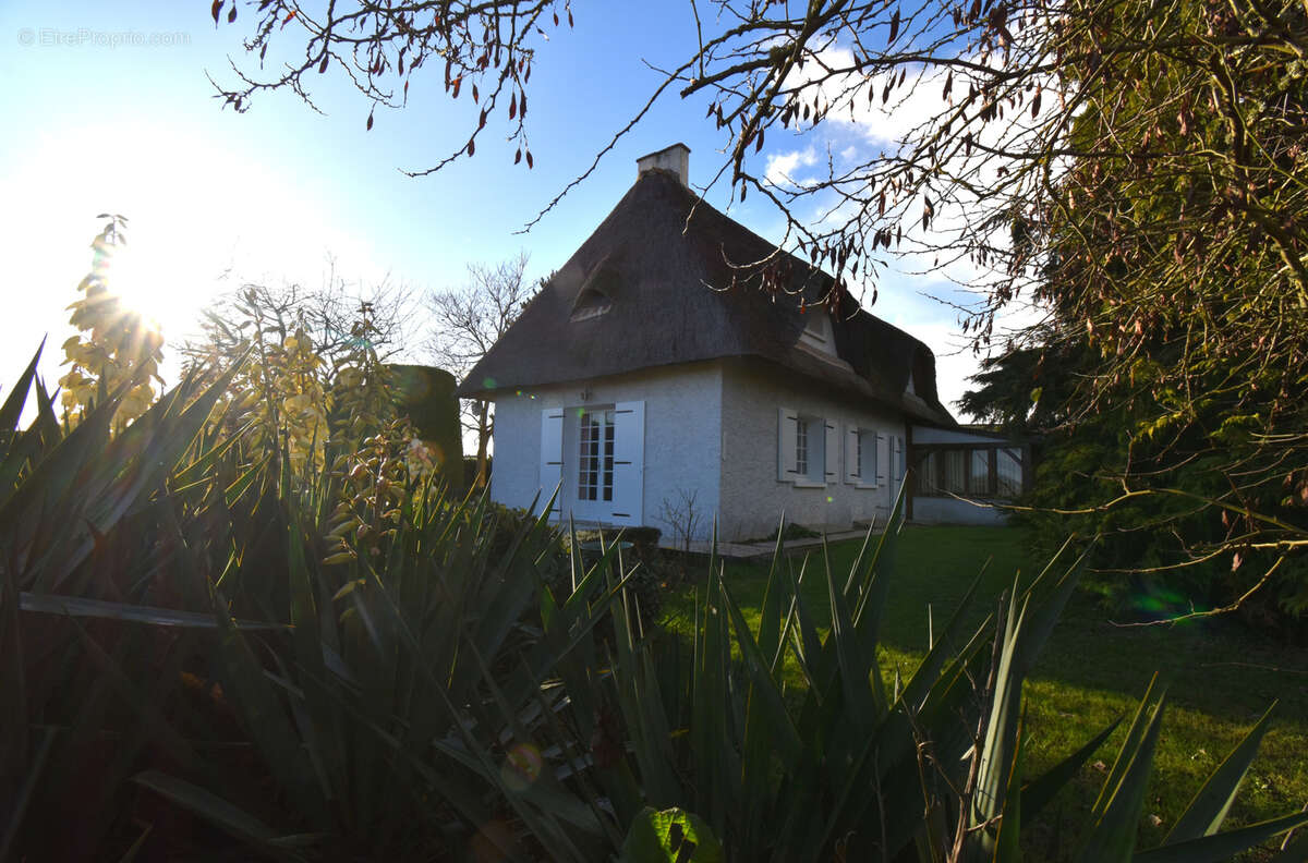 Maison à BAILLEAU-LE-PIN