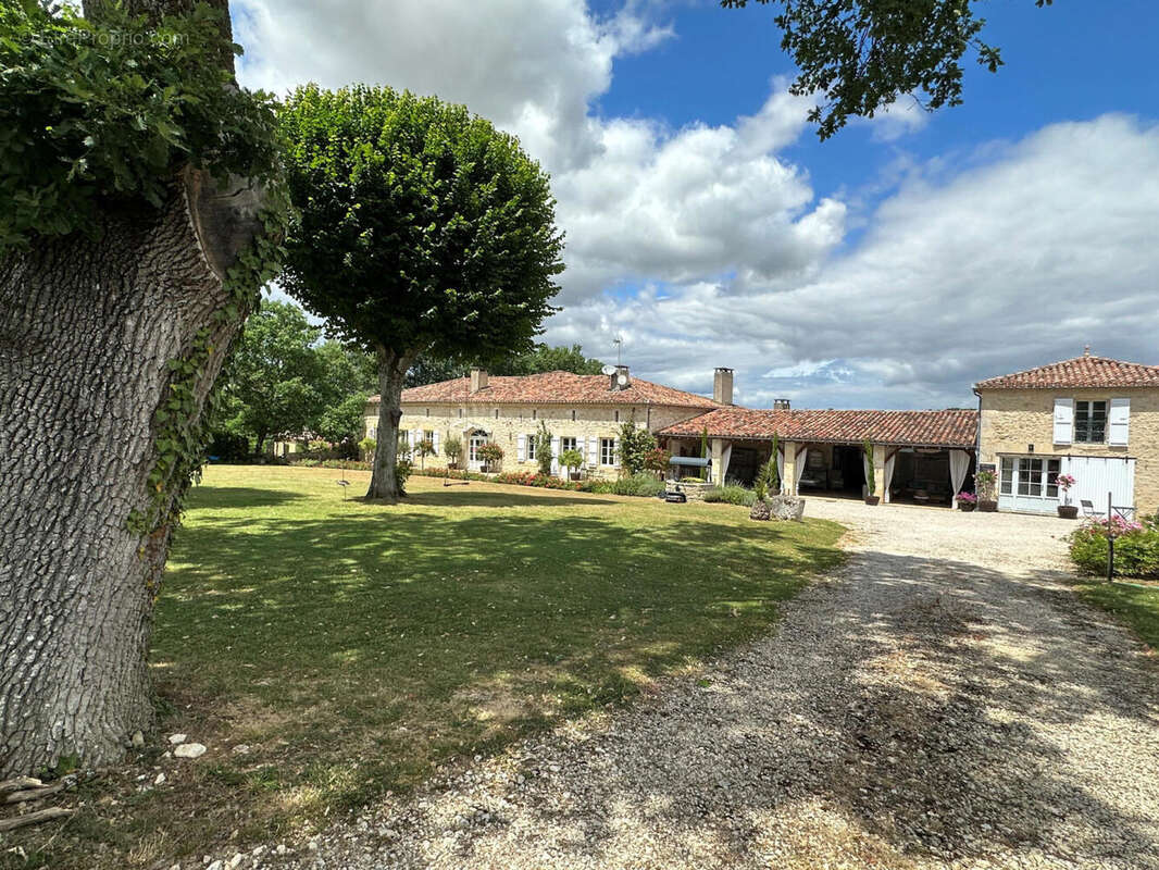 façade sud - Maison à CONDOM