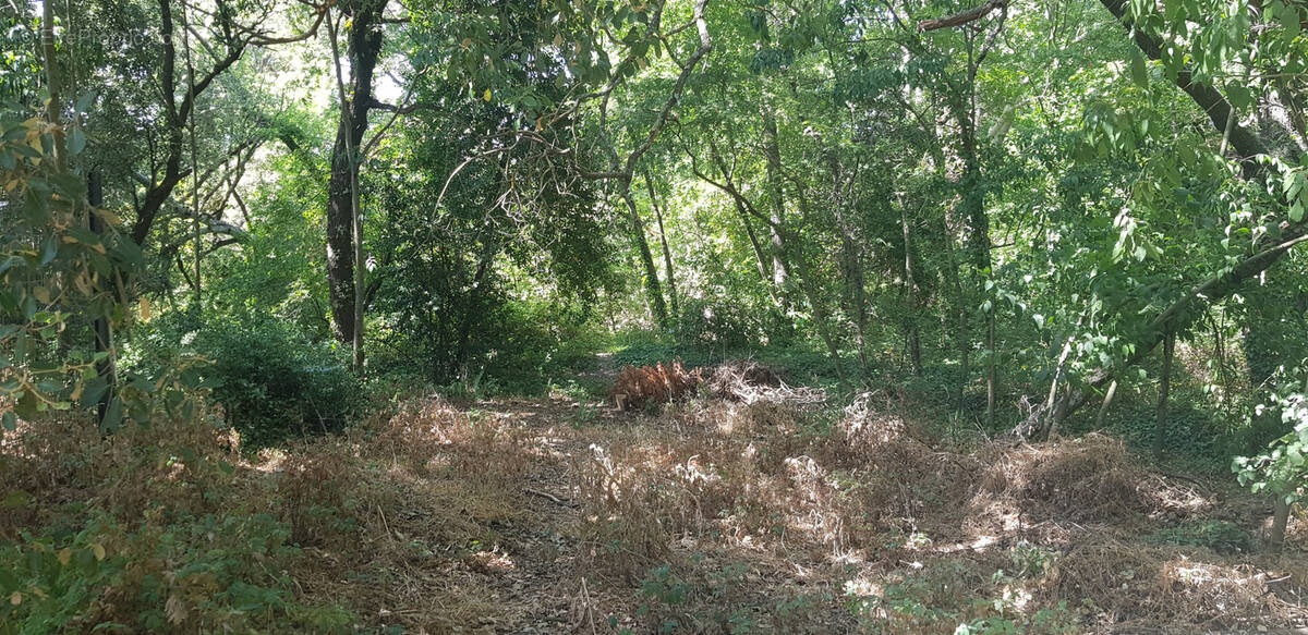 Terrain à GRANS