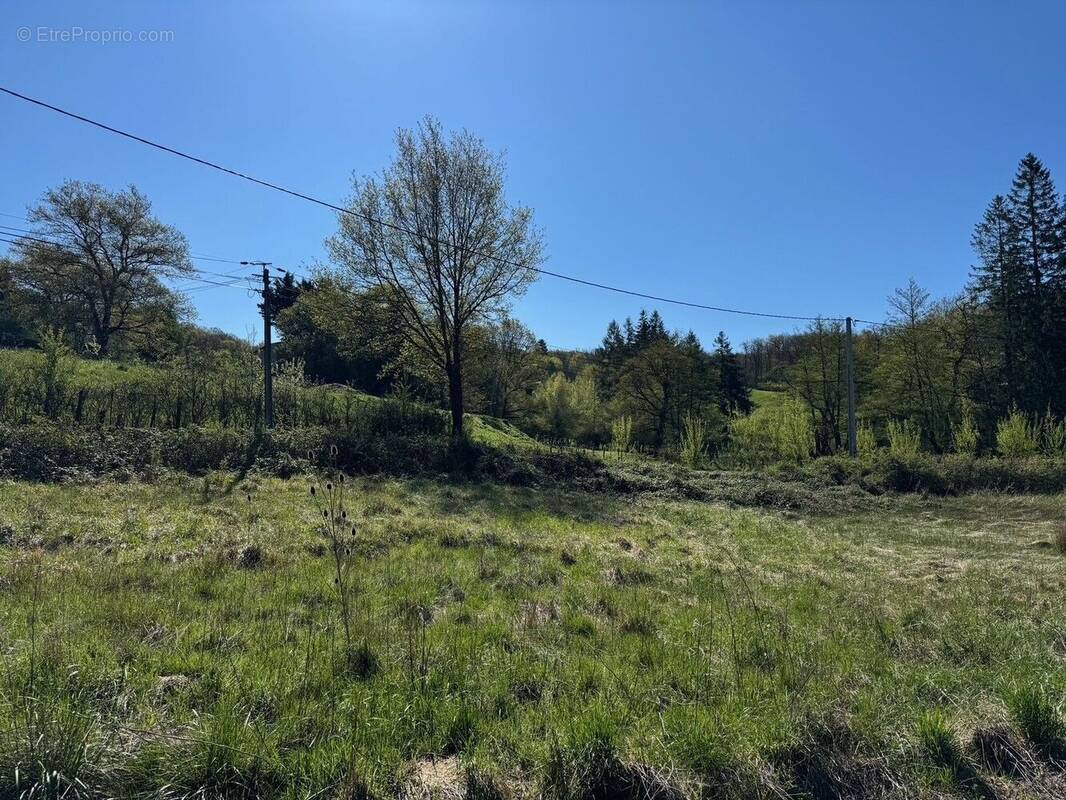 Terrain à MONTROZIER