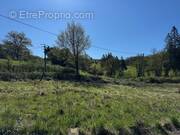 Terrain à MONTROZIER