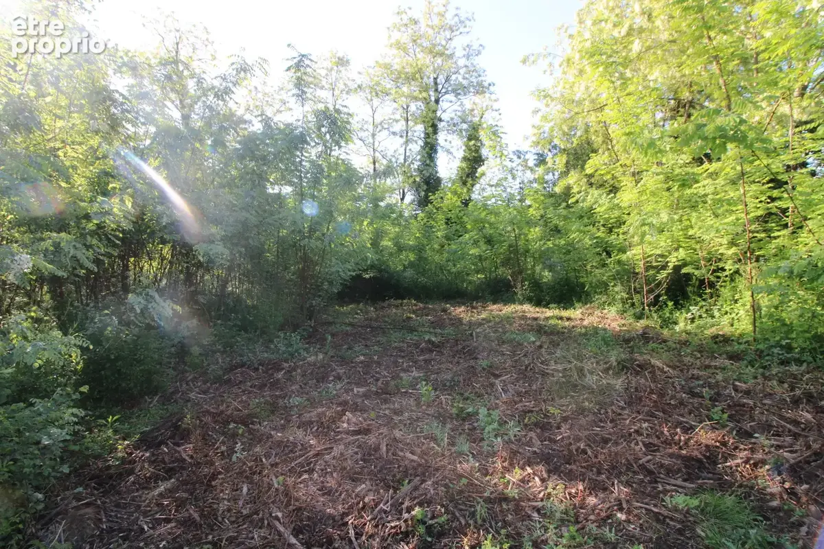 Bastide 1000 m2  sur 1.7 hectare ou plus - photo 152