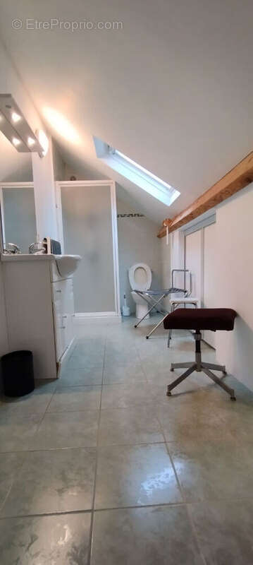 Maison à LA ROCHE-POSAY