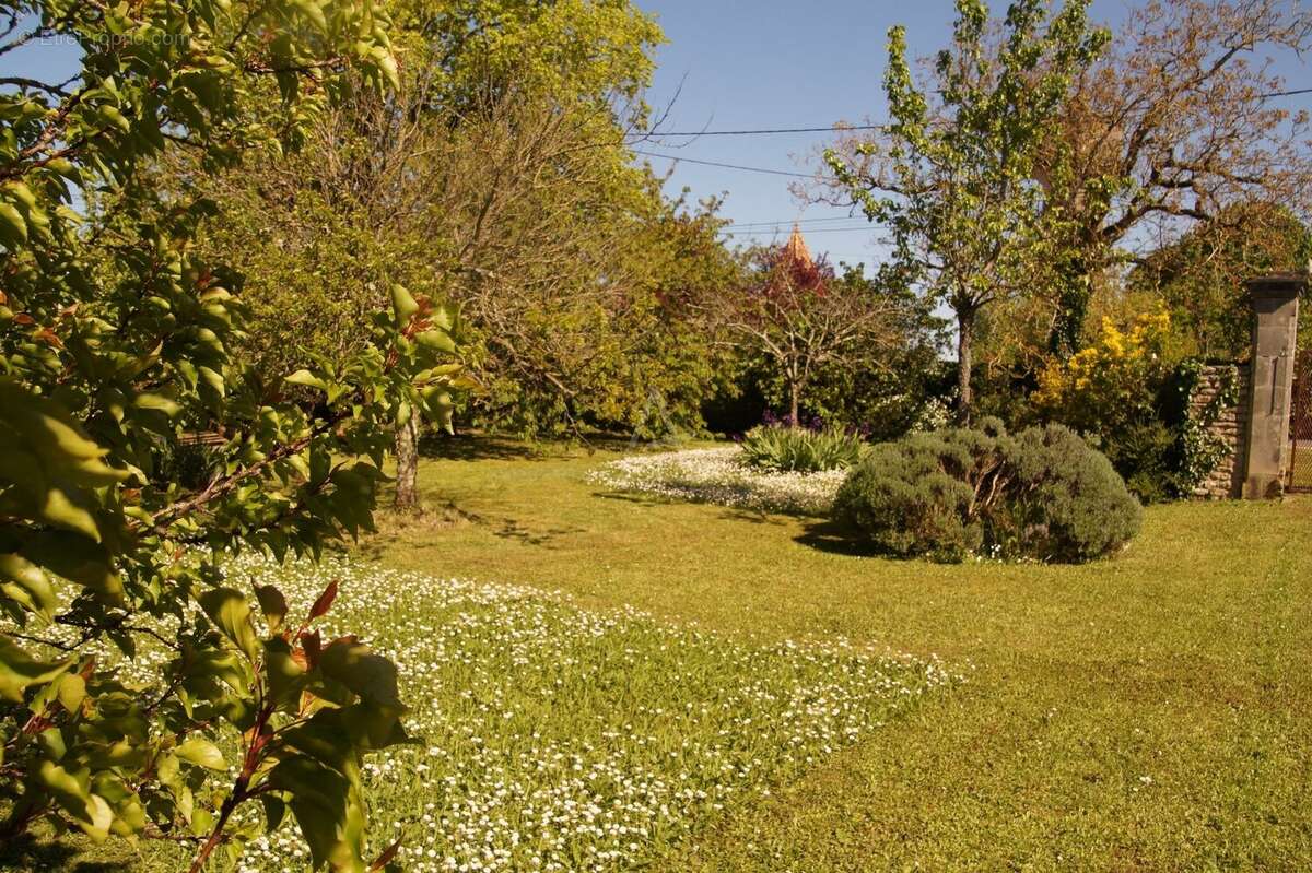 Maison de charme de 210m² - photo 5
