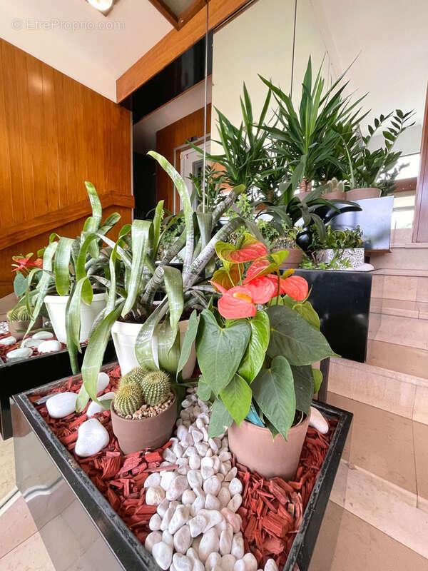 Appartement à CHARTRES