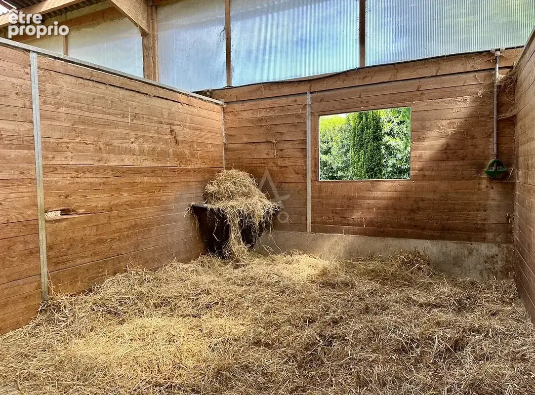 Haras d'Entraînement de Courses sur 28 Hectares   Cadre Exceptionnel - photo 28