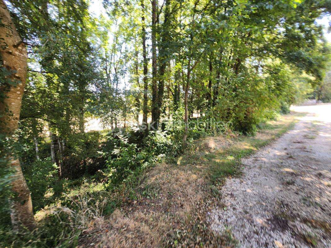Terrain de 1 479 m² avec garage récent en partie constructible – Ménigoute - photo 6