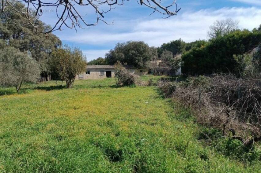 Terrain à PLAN-D'ORGON