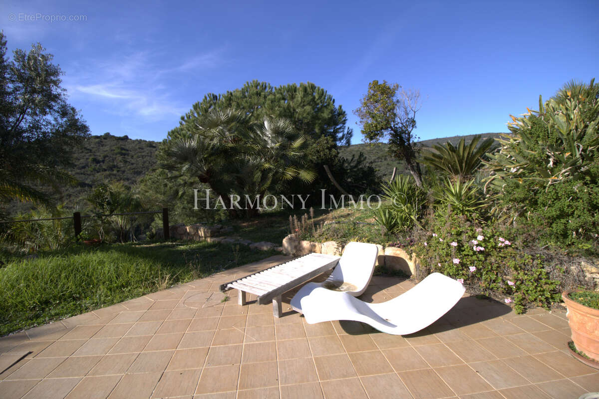 Maison à PIANA