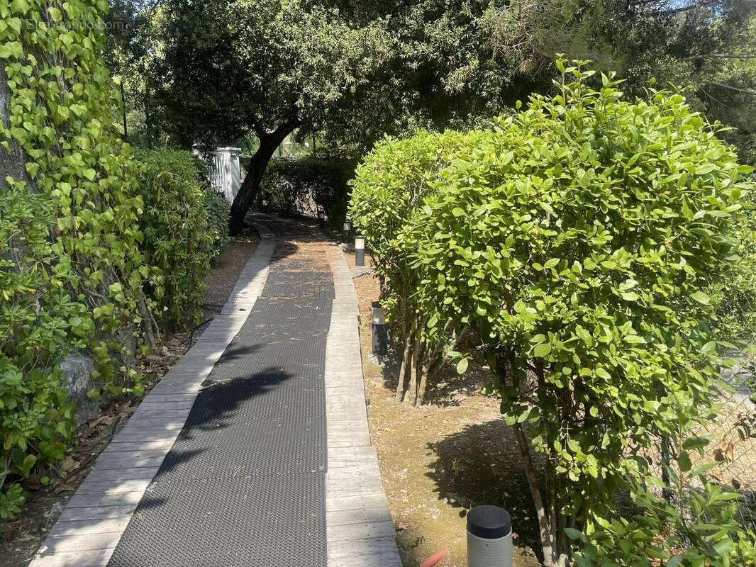Cannes californie 320 m2 murs libres atypique local commercial ou professionnel 320 m2 prestigieux à cannes-quartier californie - photo 2