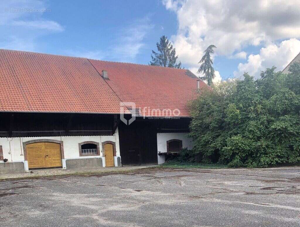 Corps de ferme, Maison, 68190 Ensisheim, Haut-Rhin - photo 5