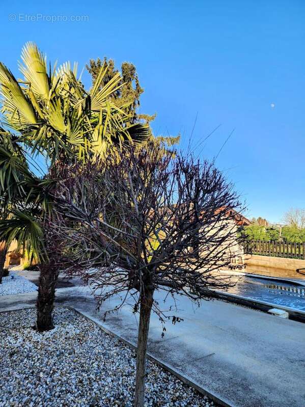 Photo 8 - Maison à SAINT-GEORGES-DE-RENEINS