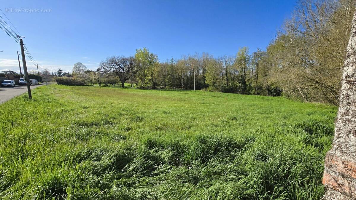 Terrain à CINTEGABELLE