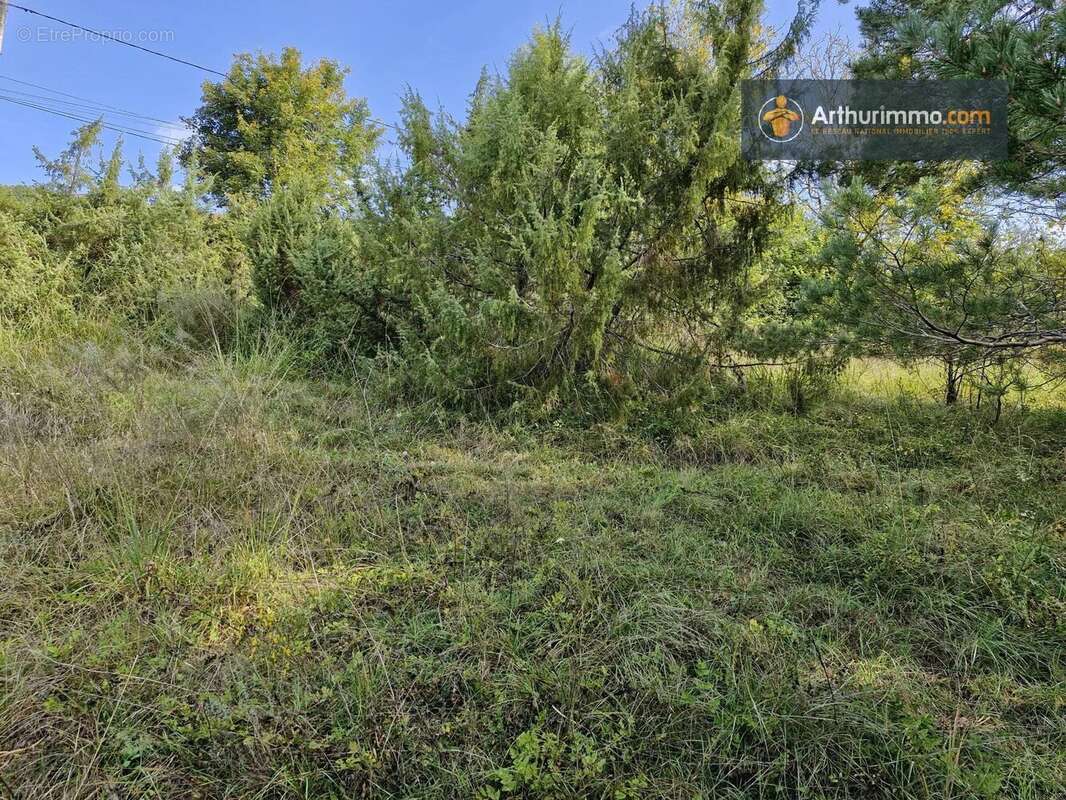 Terrain à LAVELANET