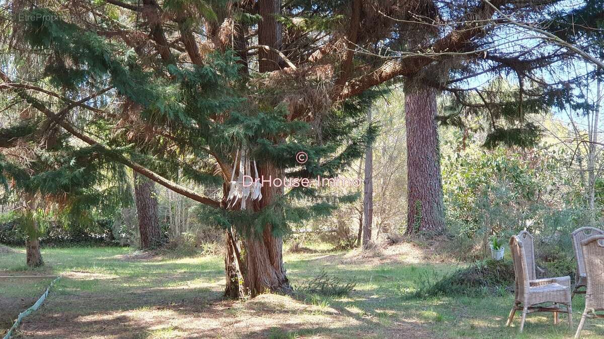 Maison à PONTENX-LES-FORGES