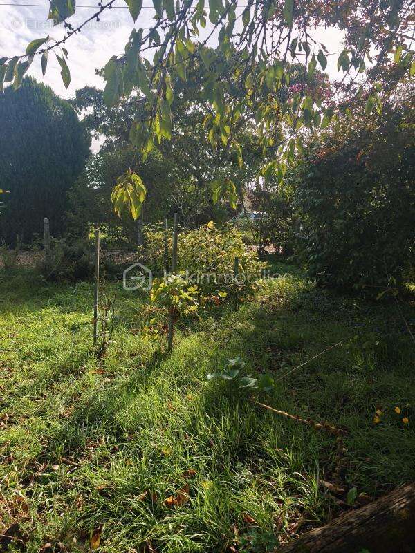 Maison à MOULIN-NEUF