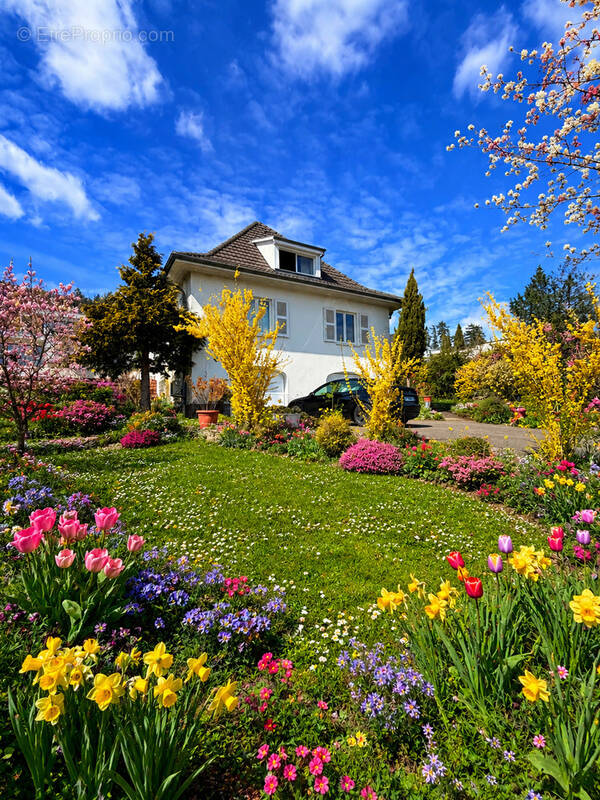 Maison à GUEBWILLER