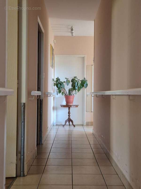 Photo 6 - Maison à ALBI