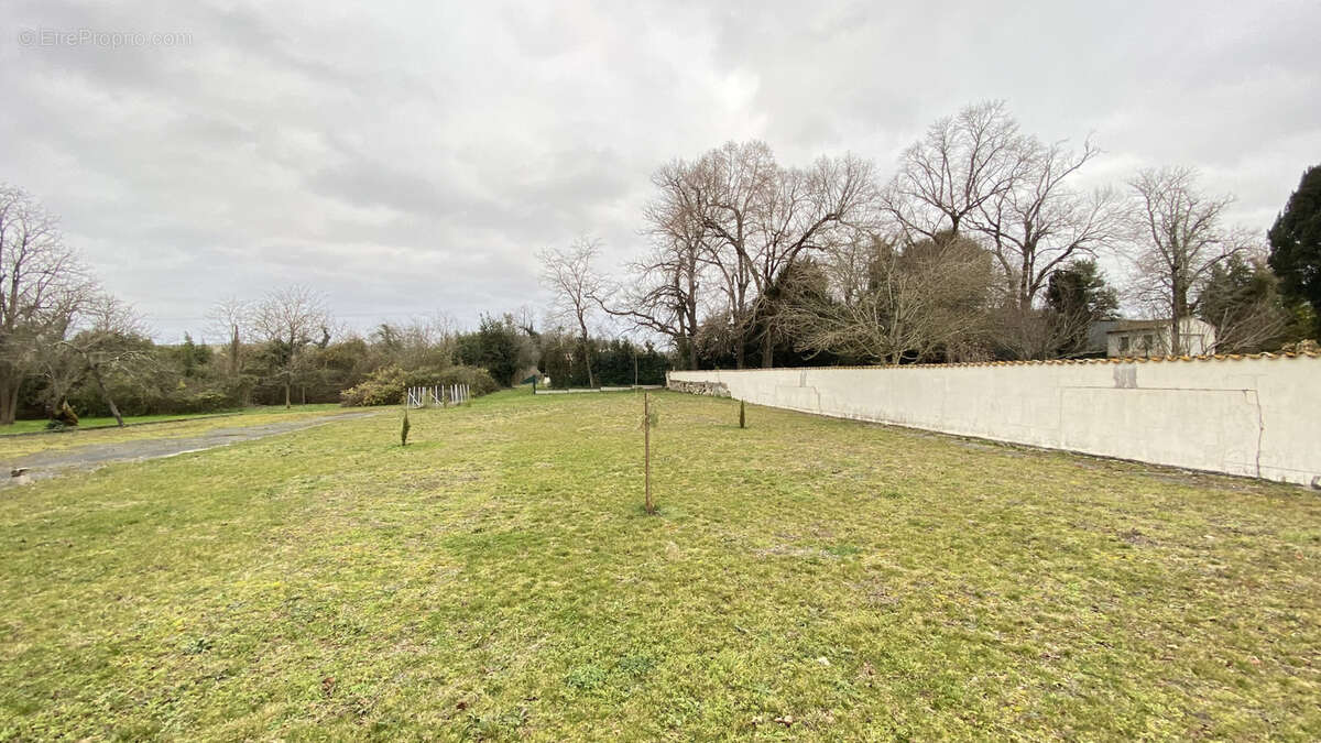 Maison à SAINT-FORT-SUR-GIRONDE