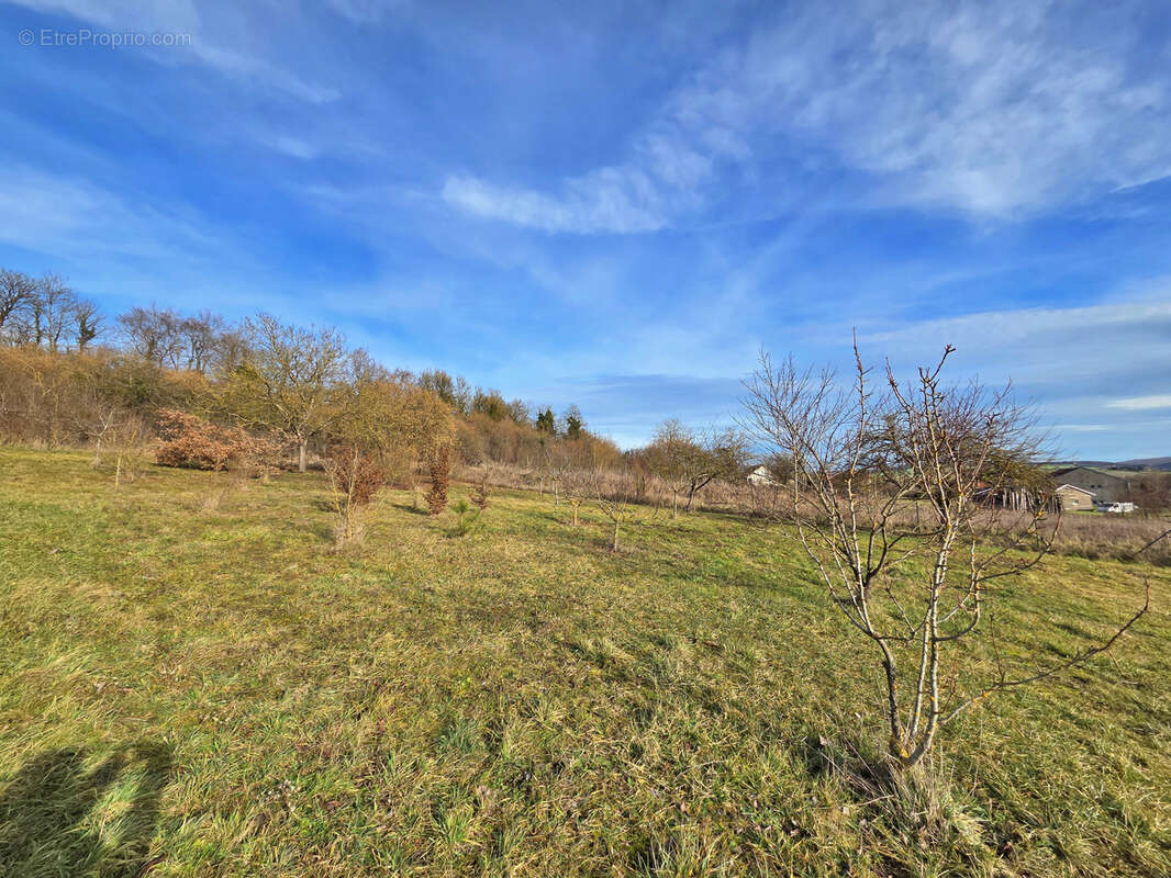 Terrain à SAMPIGNY