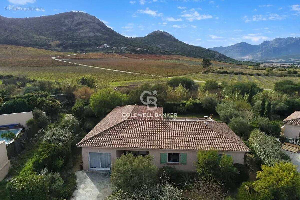 Maison à CALVI
