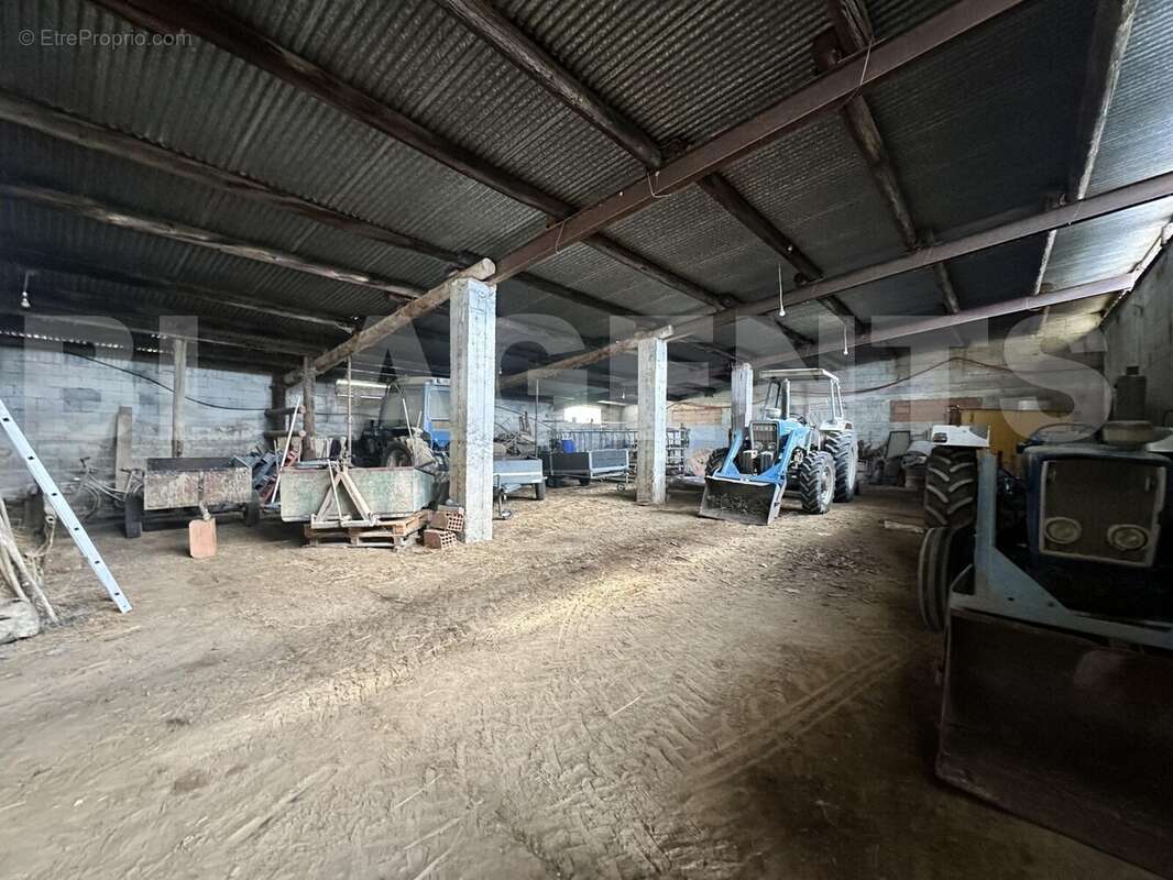 IMG_1358 - Maison à VILLEFLOURE