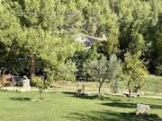 Maison à CHEVAL-BLANC