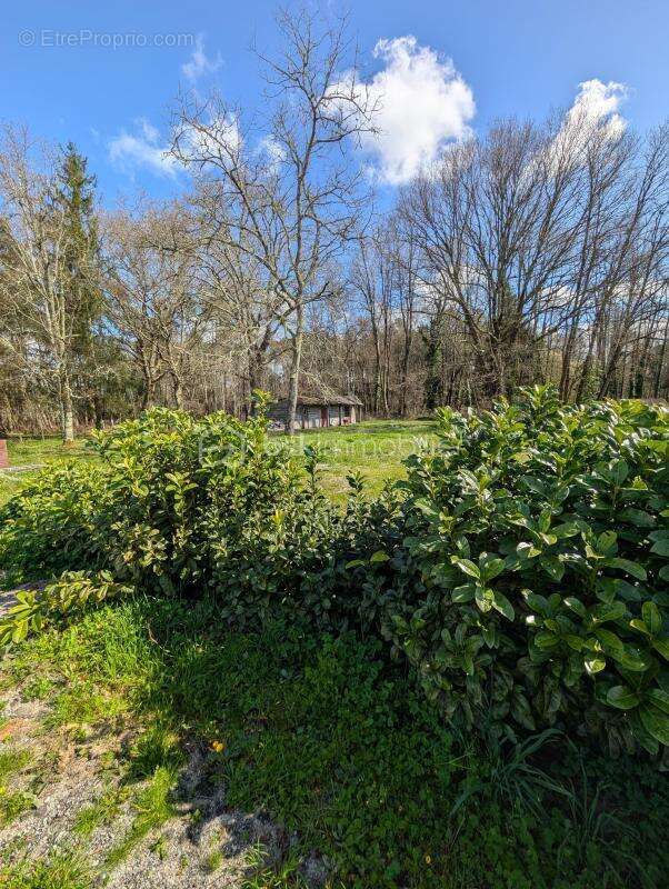 Maison à SAINT-YZAN-DE-SOUDIAC