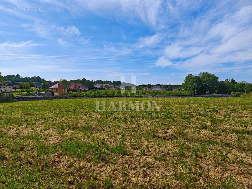 Terrain à LAHOURCADE