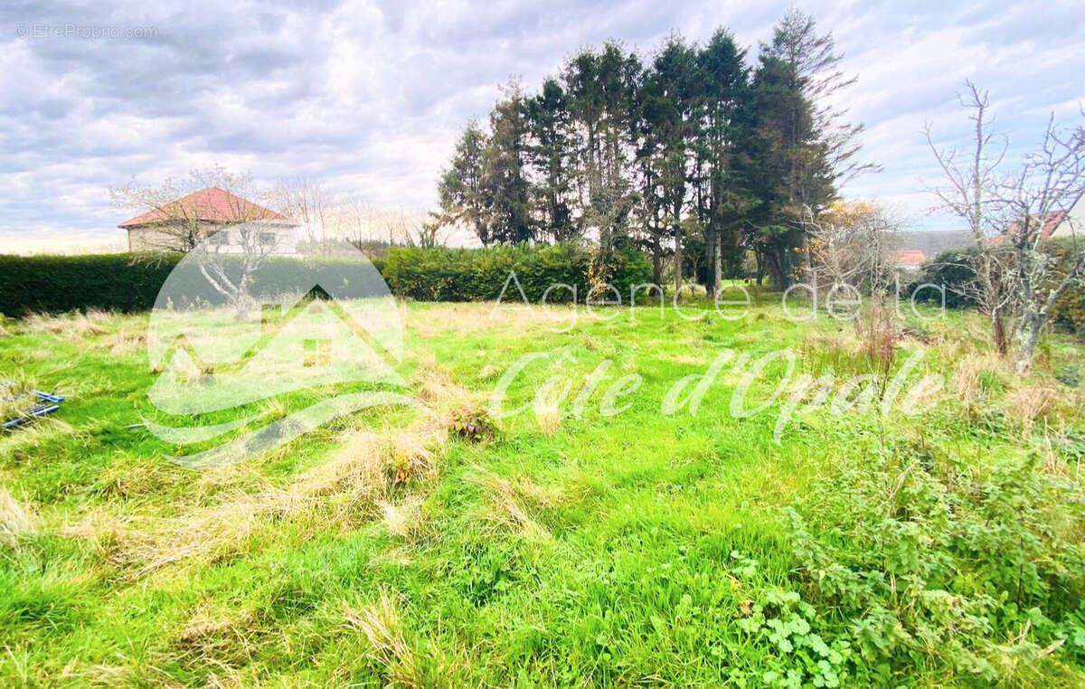 Terrain à LA CAPELLE-LES-BOULOGNE