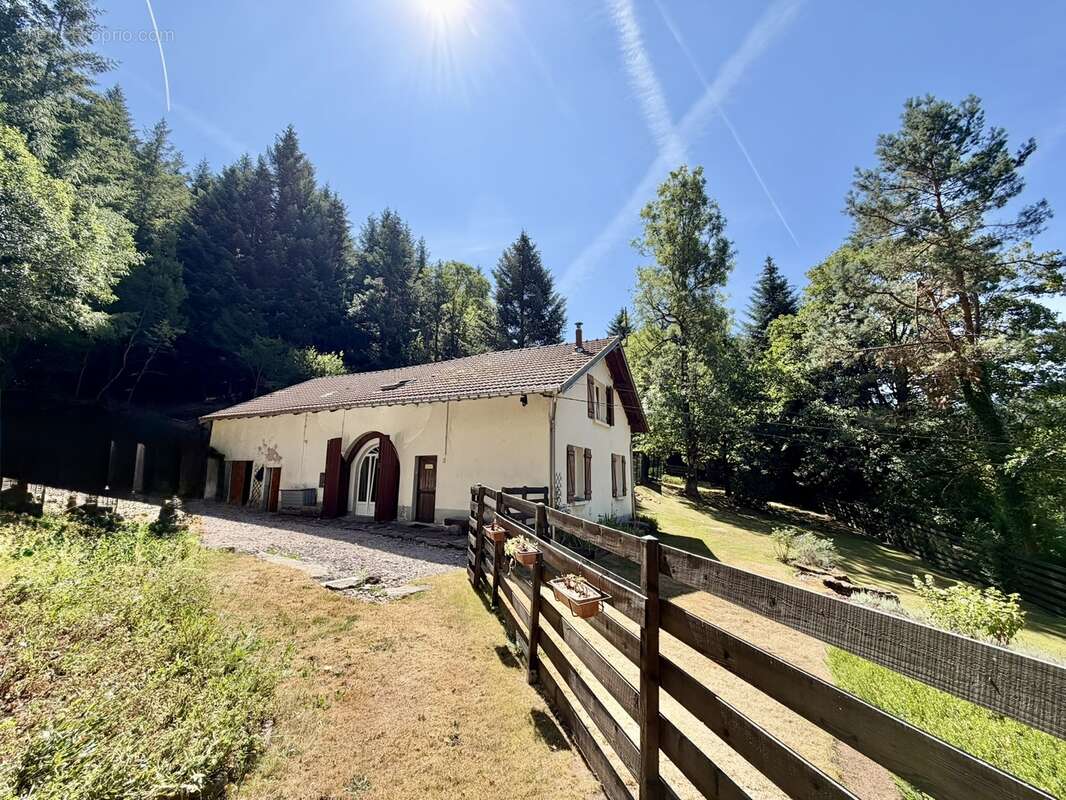 Magnifique ferme dans la forêt  - photo 3