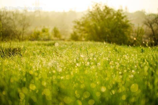 Terrain à MONTIGNY-LENCOUP