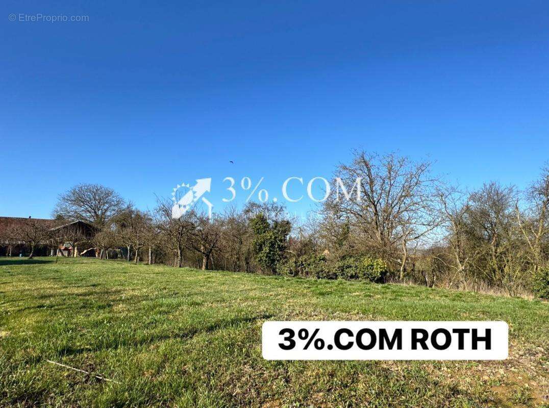 Terrain à WINGERSHEIM