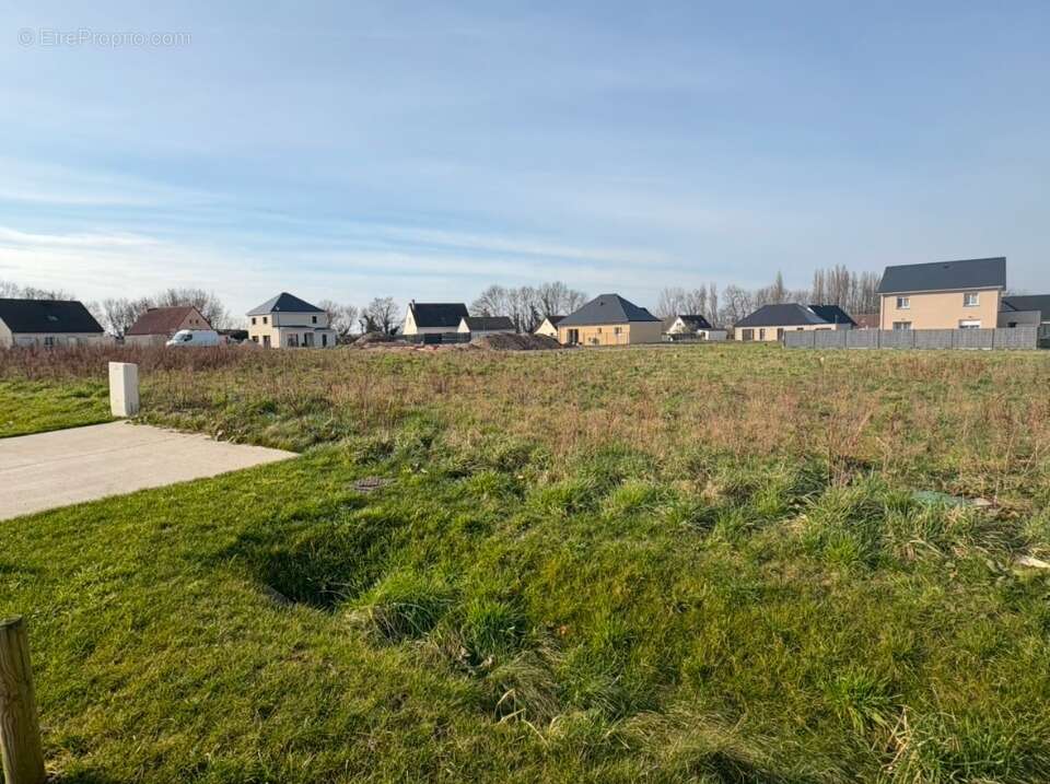 Terrain à PETIVILLE