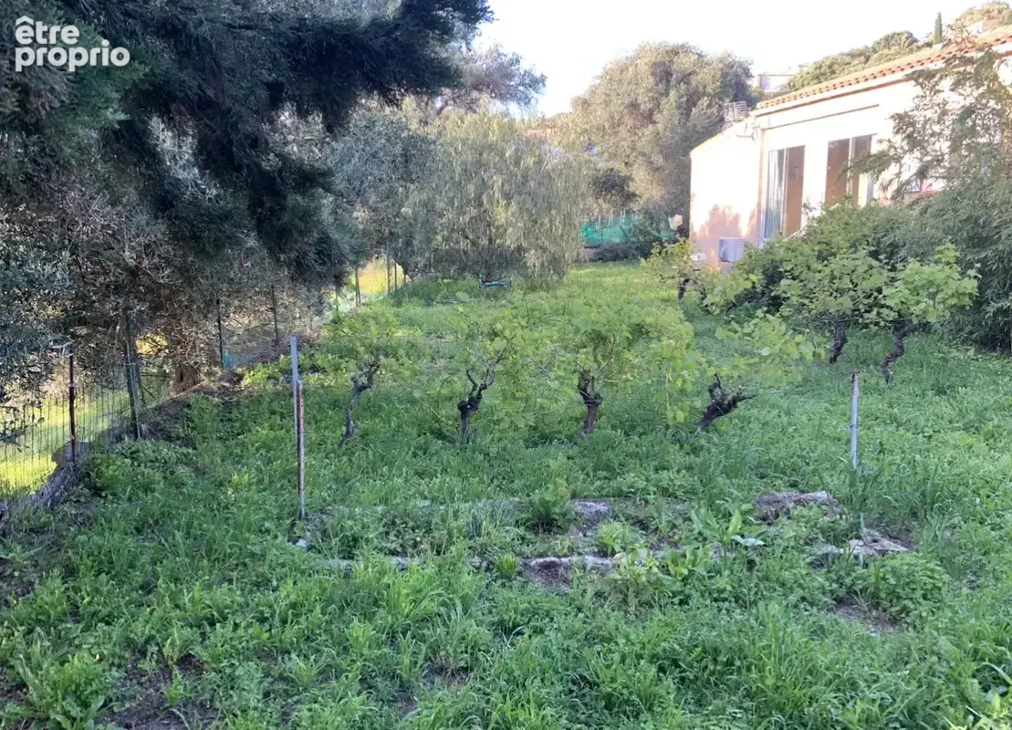 Maison familiale de charme à AREGNO . - photo 7