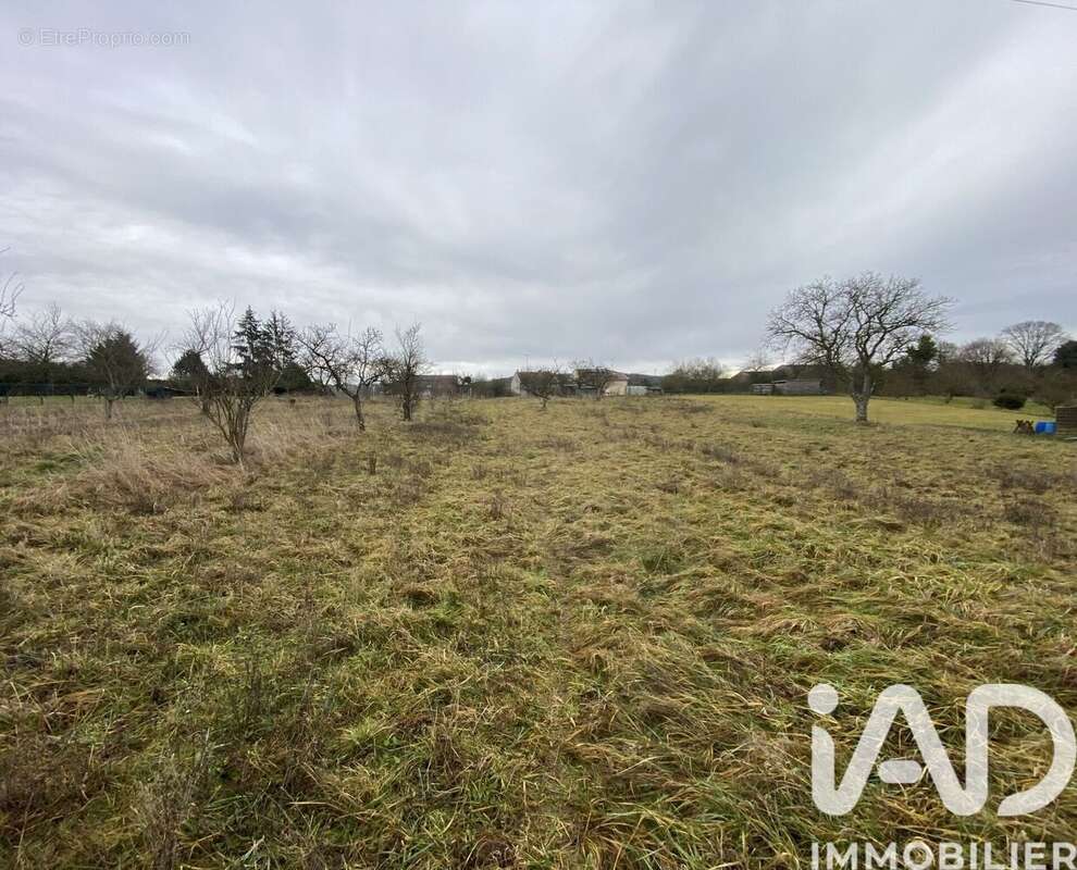 Terrain 970 m² à Einvaux  - photo 2