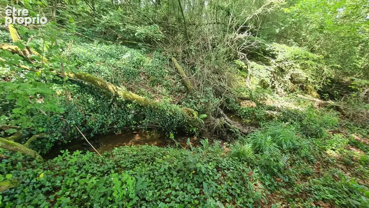 Terrain à vendre de 4 300,00 m² proche de DINAN (22) - photo 2
