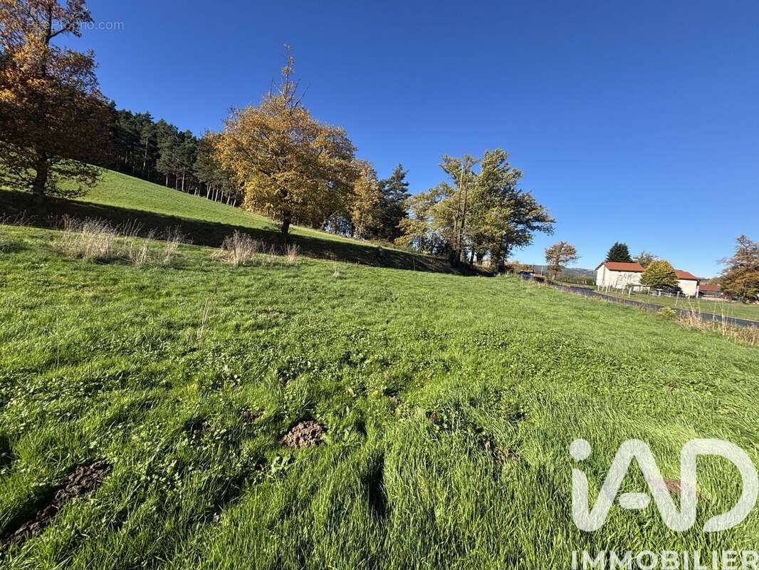 Photo 2 - Terrain à RETOURNAC