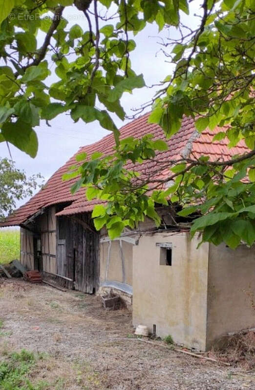 Terrain à SAINT-DIDIER-EN-BRESSE