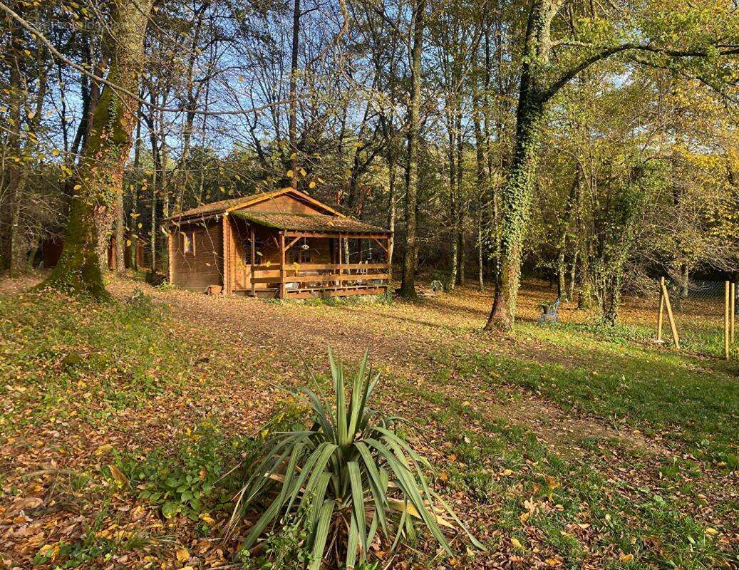 Maison à LE BUISSON-DE-CADOUIN