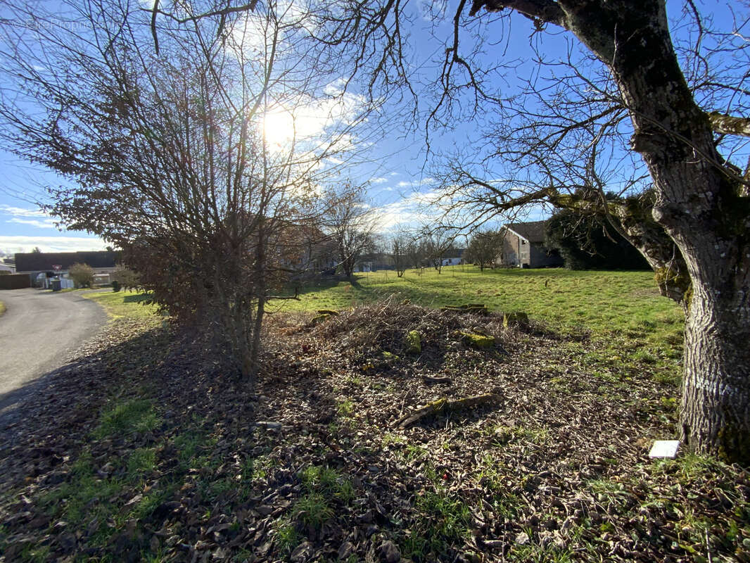 Terrain à FRANCHEVELLE