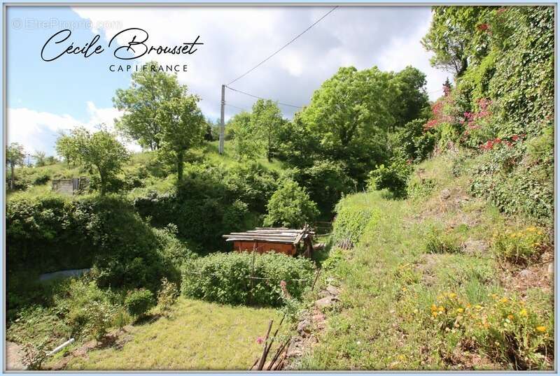 Maison en pierre à vendre 3 pièces TAULIS (66) avec 1377m2 de terrain - photo 7