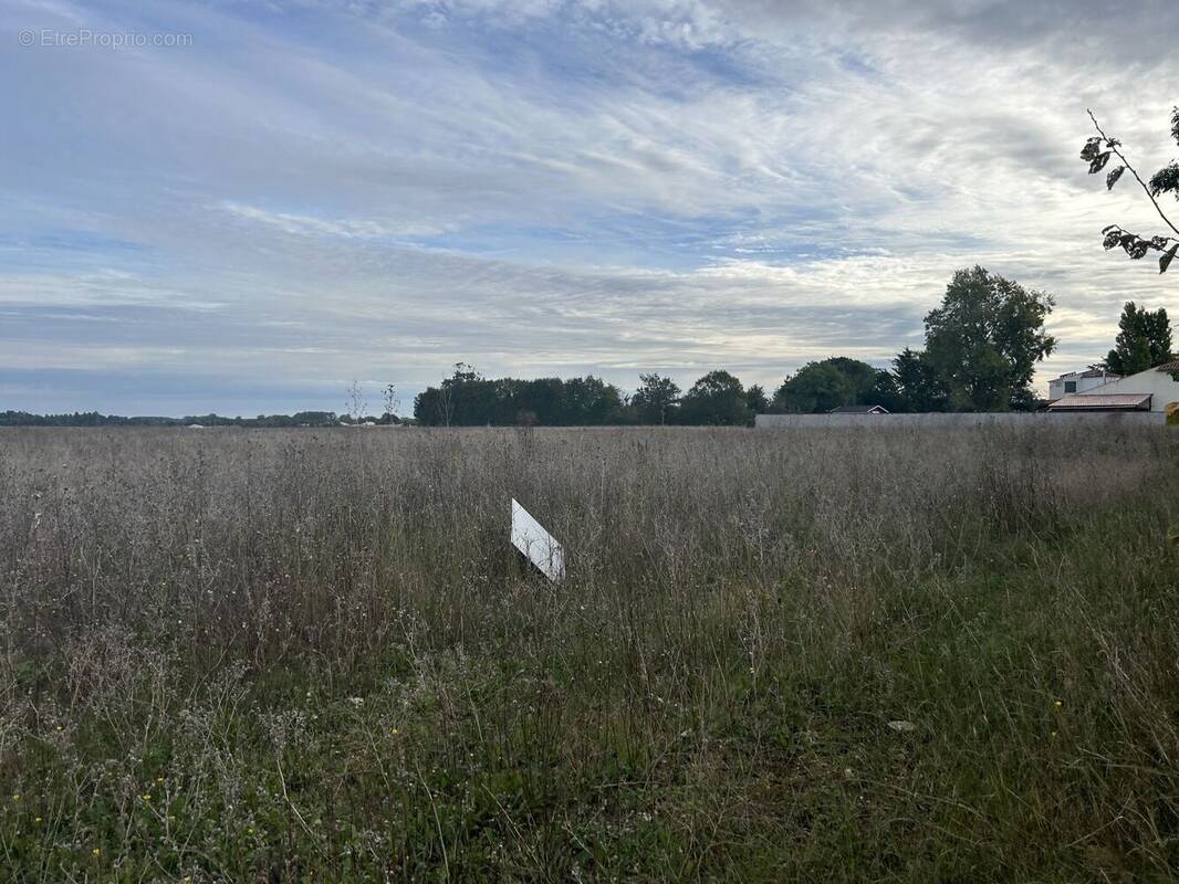 Terrain à SAINT-MEDARD-D&#039;AUNIS