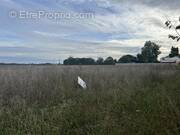 Terrain à SAINT-MEDARD-D&#039;AUNIS